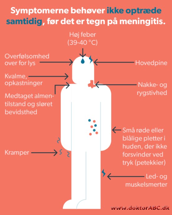 Meningitis - forstå det på fem minutter