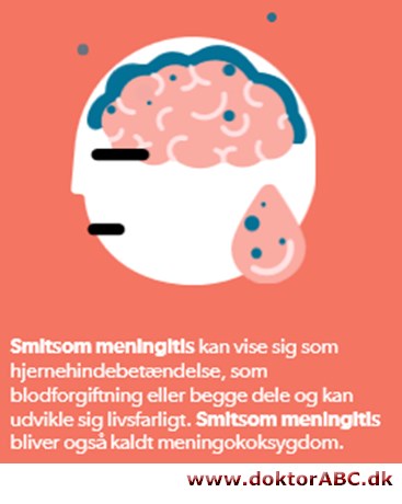 Meningitis - forstå det på fem minutter