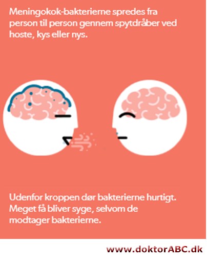 Meningitis - forstå det på fem minutter